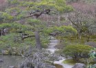 2008-03-31- KYOTO-P1010619